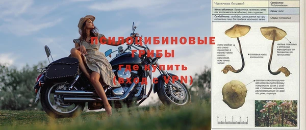 стафф Лабытнанги
