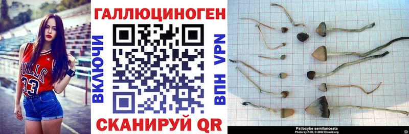 Псилоцибиновые грибы прущие грибы  как найти закладки  Вичуга 