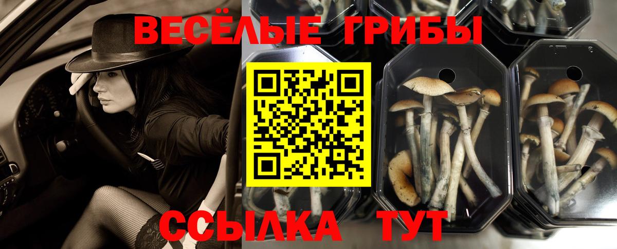 Псилоцибиновые грибы мицелий  Вход с VPN  Вичуга 