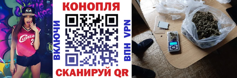 Каннабис планчик Вичуга